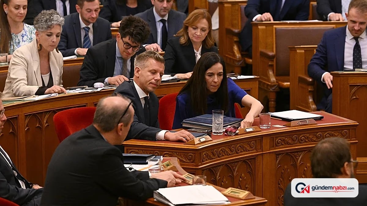 Macaristan parlamentosu, yeni başkanı için oylama yapacak
