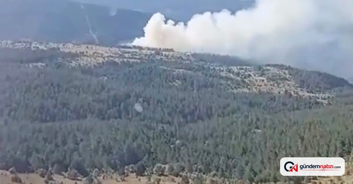 Kastamonu'da orman yangını büyümeden söndürüldü