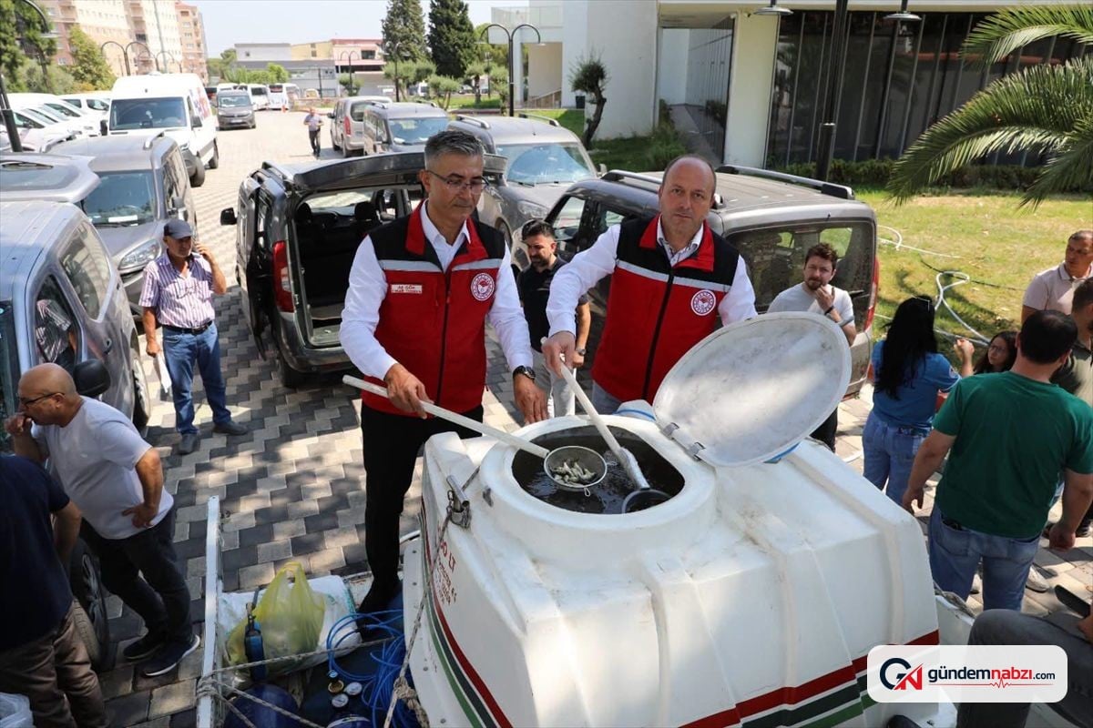 Manisa'daki göl ve göletlere 1,2 milyon yavru sazan bırakıldı