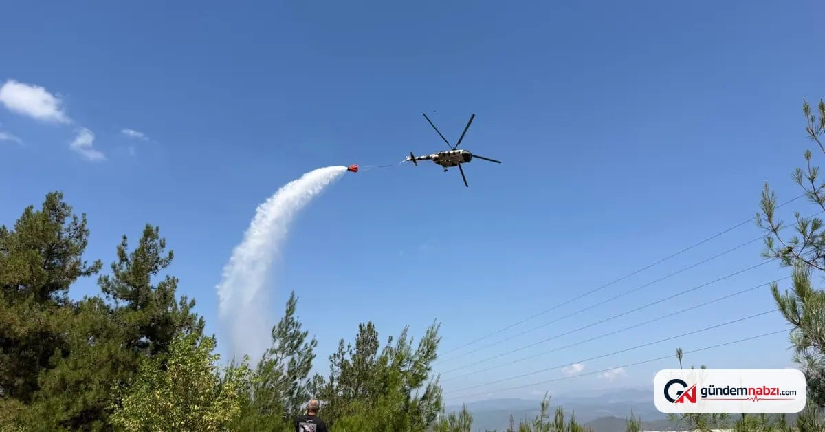 Bursa'da Orman yangını havadan ve karadan müdahaleyle söndürüldü