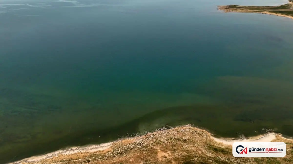 Van Gölü'nün rengi değişti, vatandaşlar görüntüledi