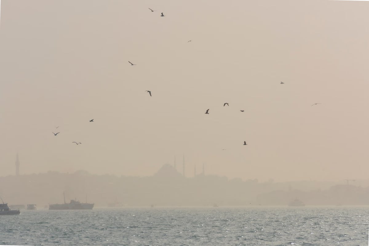 İstanbul'da yüksek sıcaklık sürerken dört ilçede sağanak bekleniyor