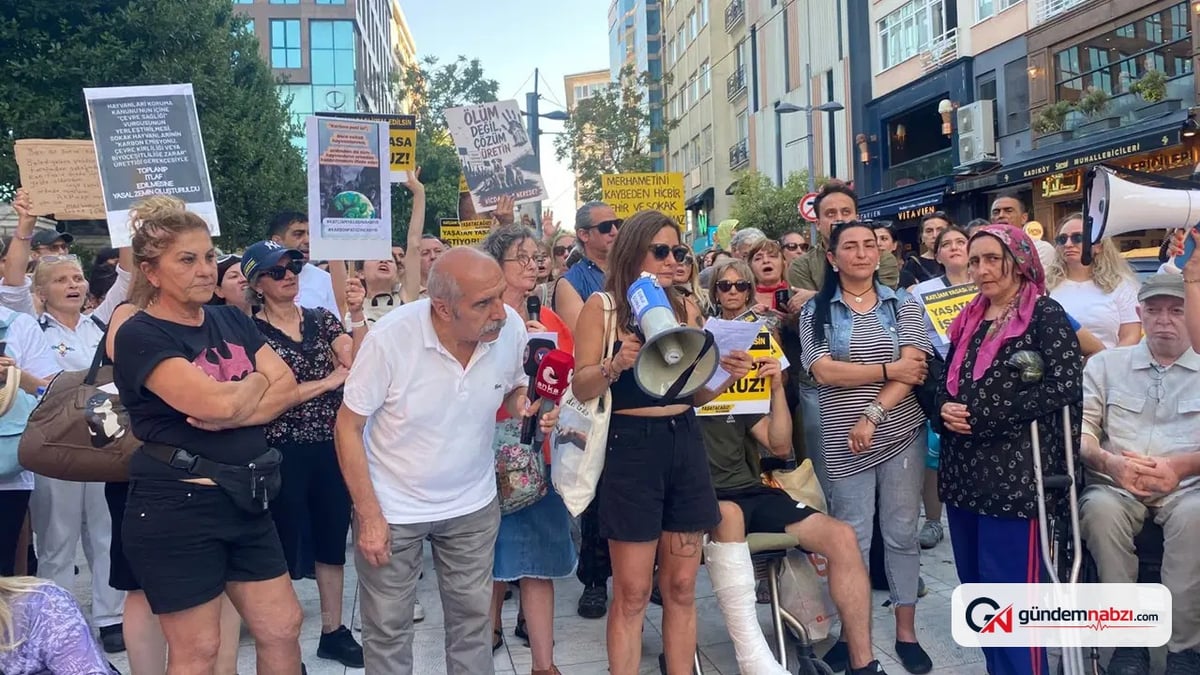'Katliam Yasası'nın 2. yılında sokak hayvanlarının durumu ağır