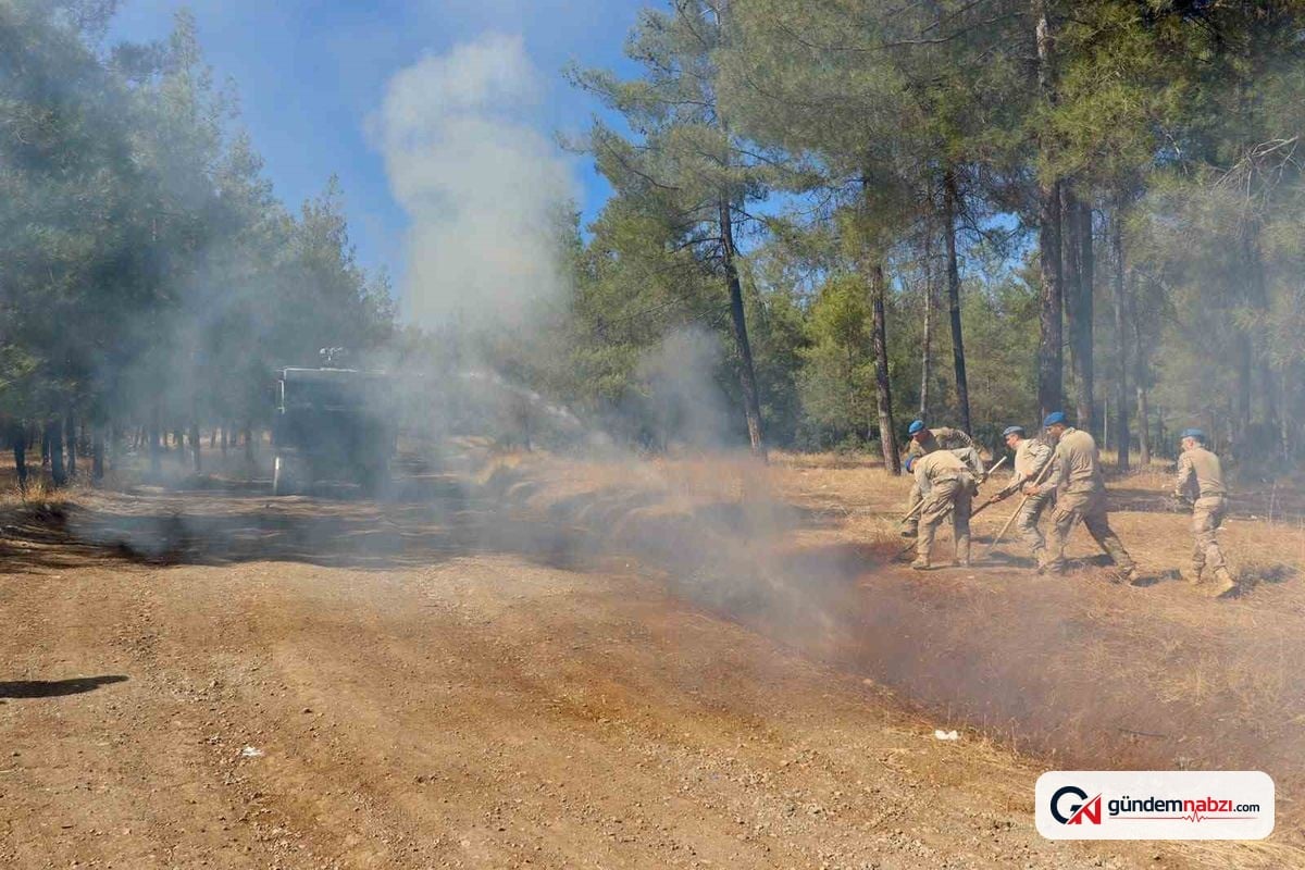 Kilis'te Jandarma yangın tatbikatı gerçekleştirdi
