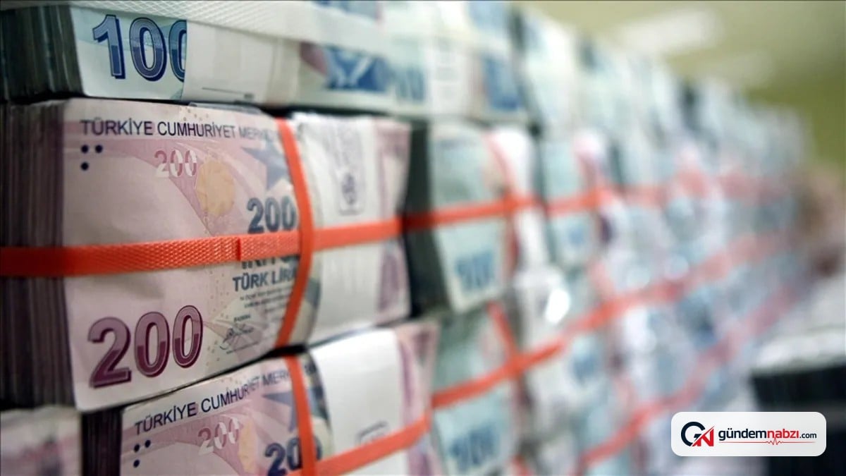 Hazine, temmuz bütçe sonuçlarını açıkladı