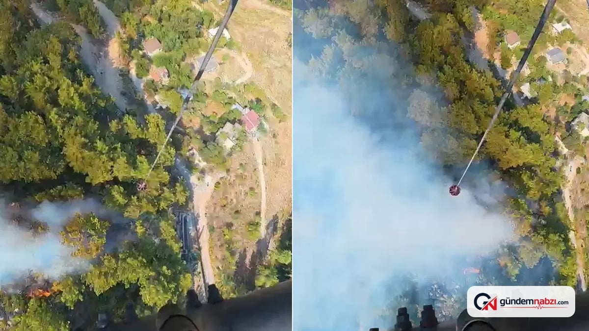 Antalya'nın Alanya ve Konyaaltı ilçelerinde orman yangını çıktı