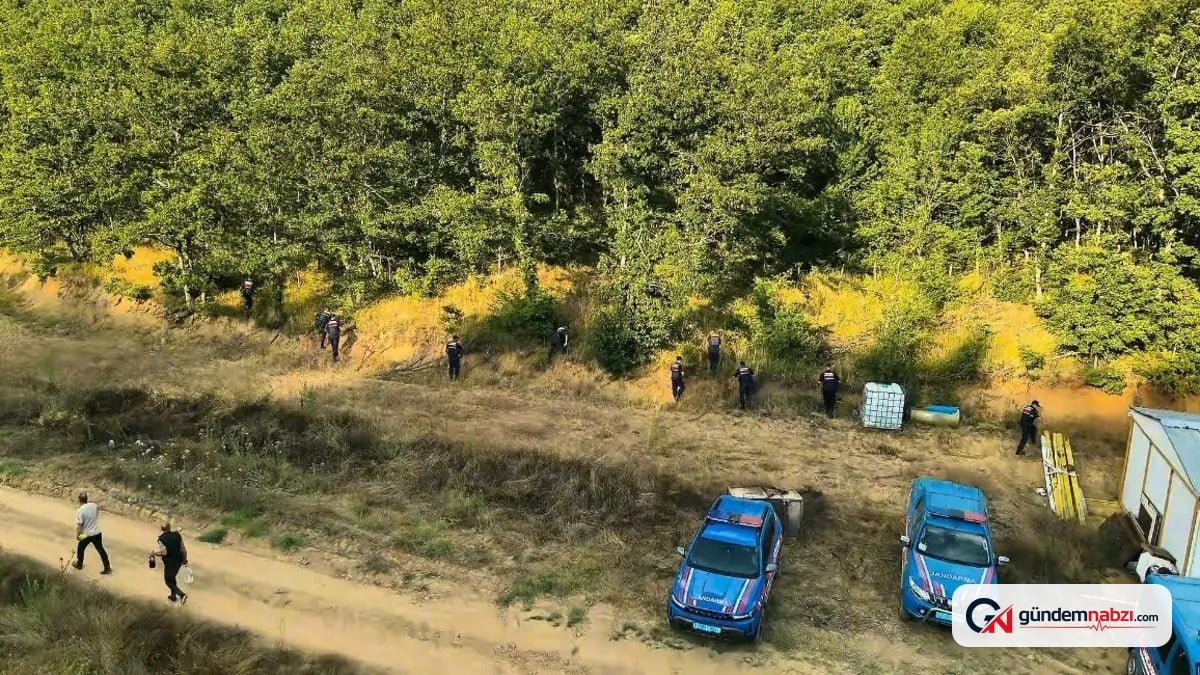 Bilecik'te Jandarma operasyonunda 40 kök kenevir ele geçirildi