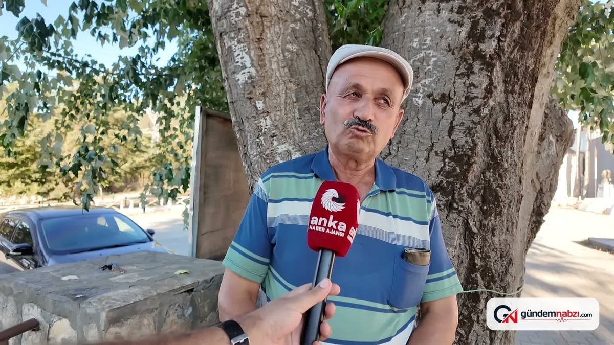 Isparta'da buğday hasadı sürüyor: Verim yüksek ama fiyatlar düşük