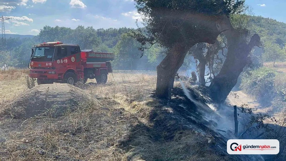 Kastamonu Hanönü'nde tarla yangını söndürüldü