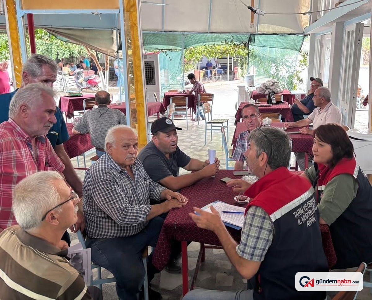 Aydın Nazilli'de incir üreticilerine incir tebliği bilgilendirmesi yapıldı
