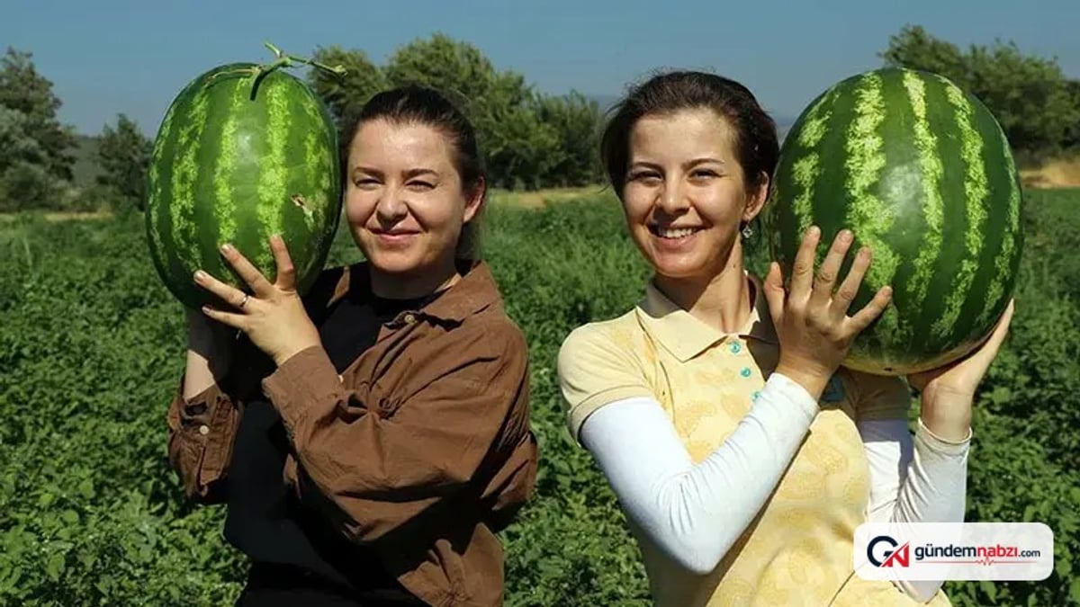 Diplomalı kız kardeşler, tarımda yeni bir yol açtı