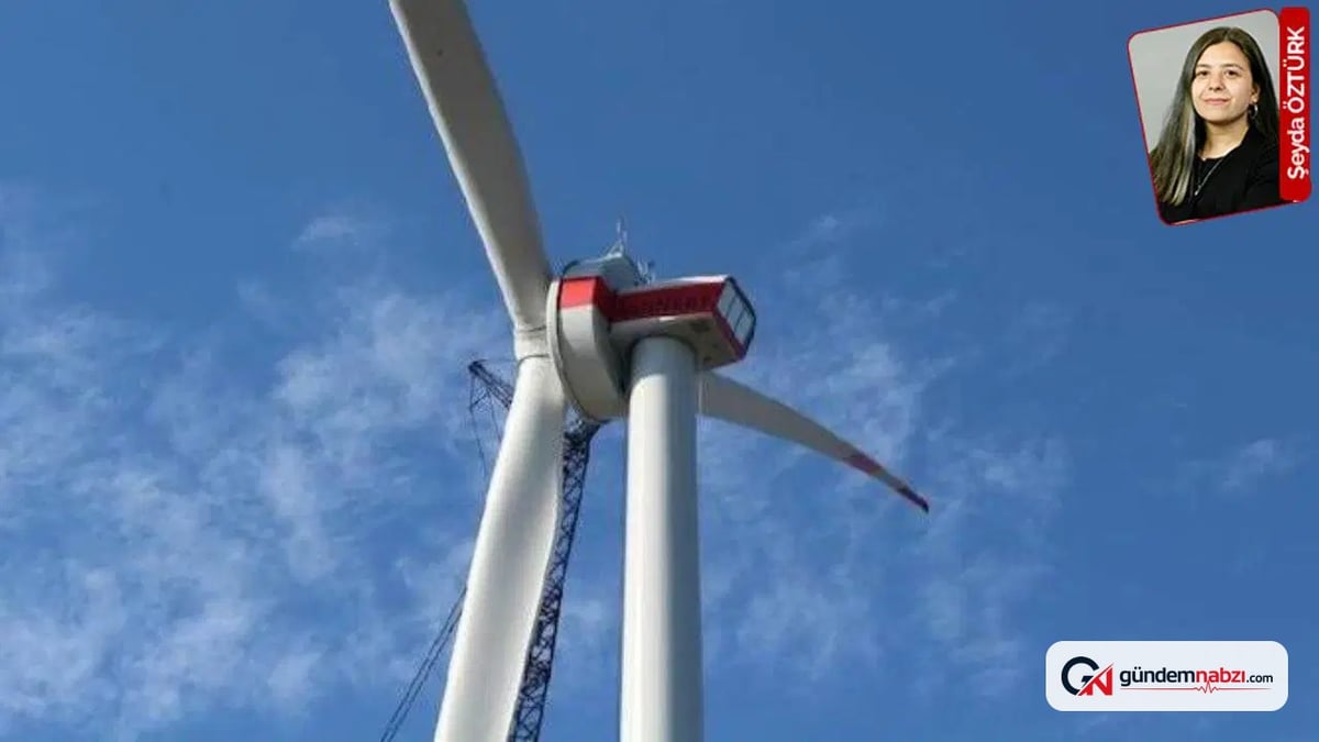 Danıştay, Muğla'daki rüzgar enerji santralinin onayını iptal etti