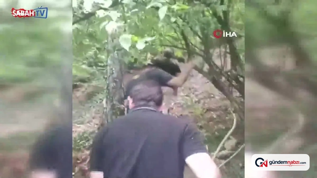 Sahte bankacı U.K. ormanda yakalandı