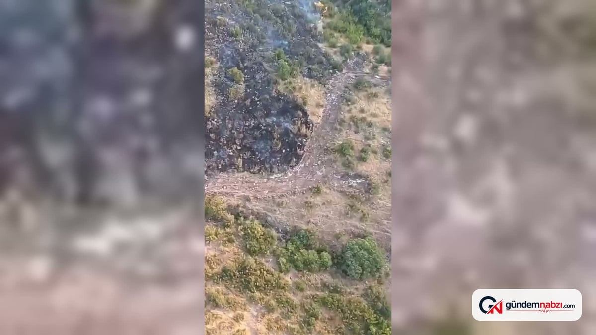 Balıkesir'de orman yangını kontrol altına alındı