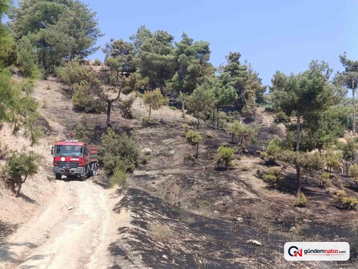 Kahramanmaraş'ta orman yangını kontrol altına alındı