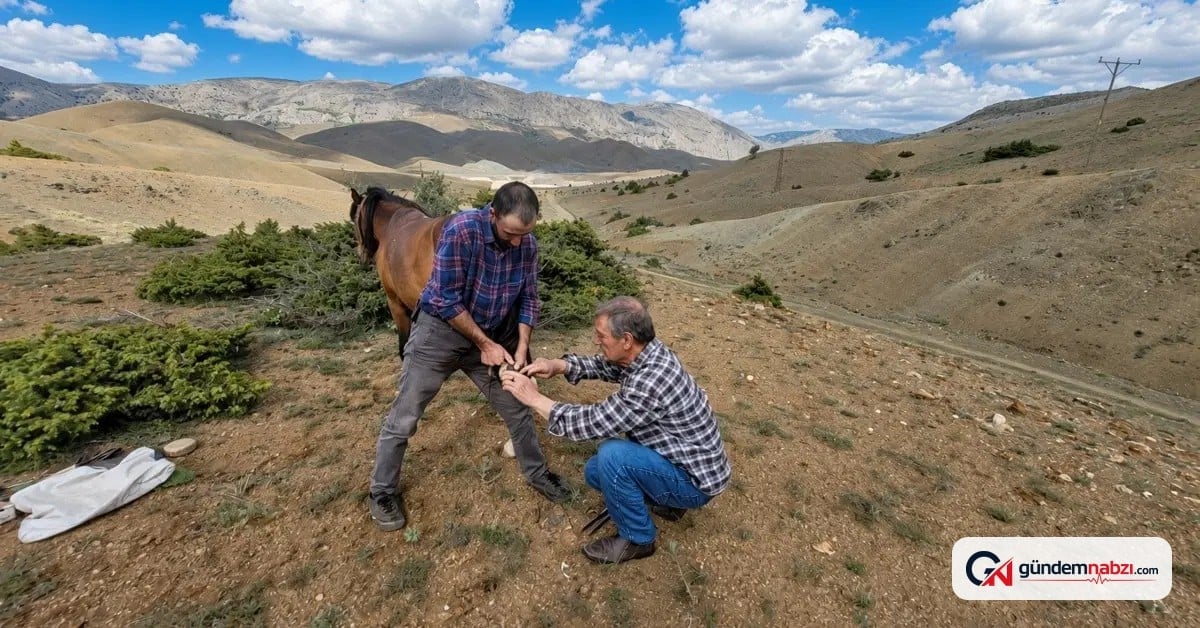 Erzincan'da Sinan Günay 50 yıldır nalbantlık yapıyor