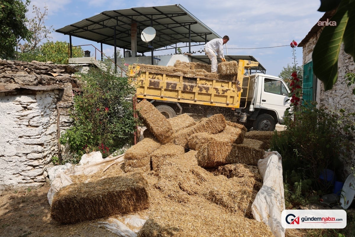 Çine Belediyesi yangından etkilenen üreticilere saman desteği sağladı