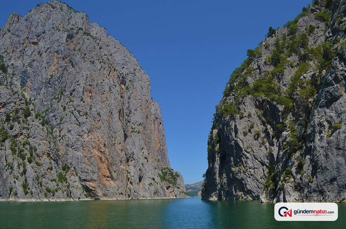 Kavga nedeniyle gözaltına alınan eski pehlivan ve iki yakını serbest bırakıldı