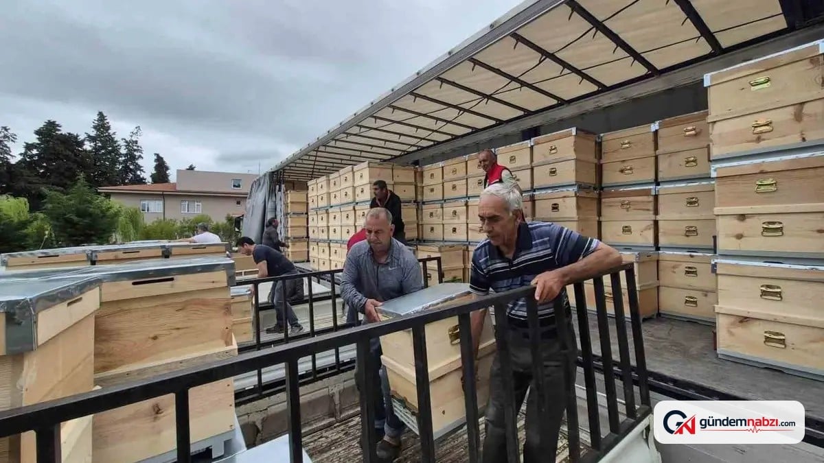 Çanakkale'de yangından etkilenen arıcılara 2 bin kovan dağıtıldı