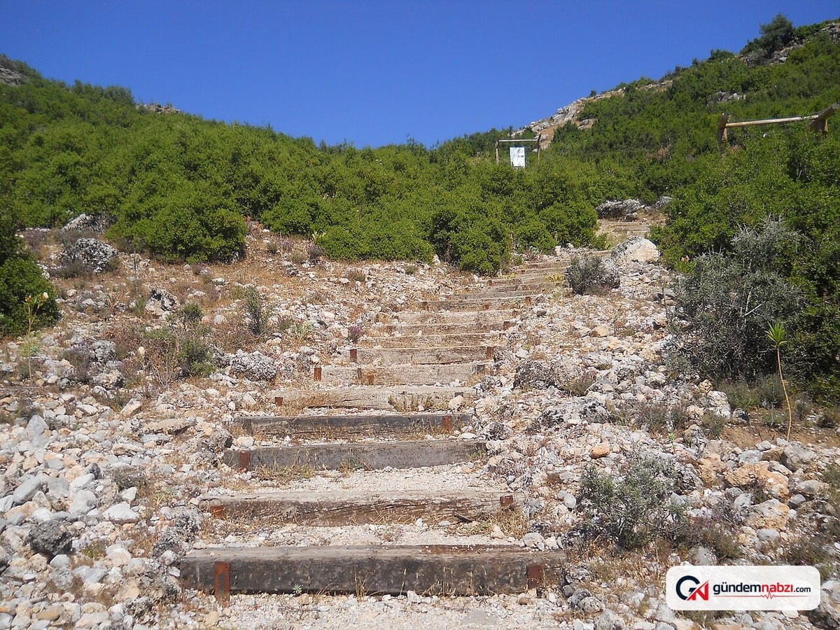 Muğla Seydikemer'de orman yangını kontrol altına alındı