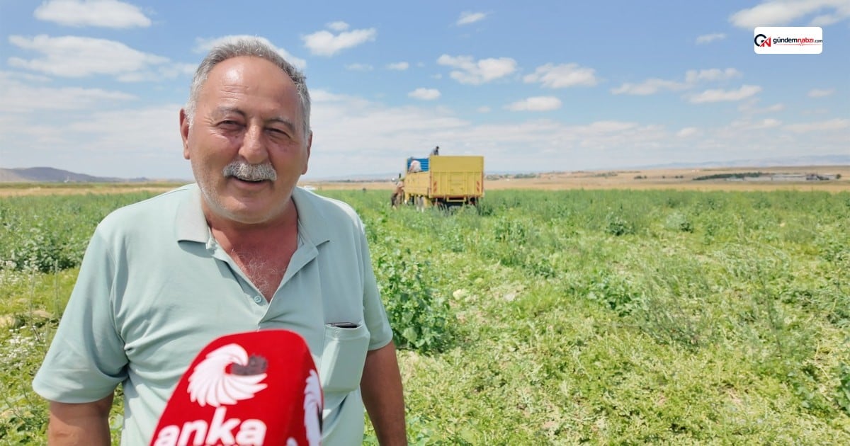 Yozgat'ta karpuz üreticisi maliyetler ve düşük fiyatlardan dertli