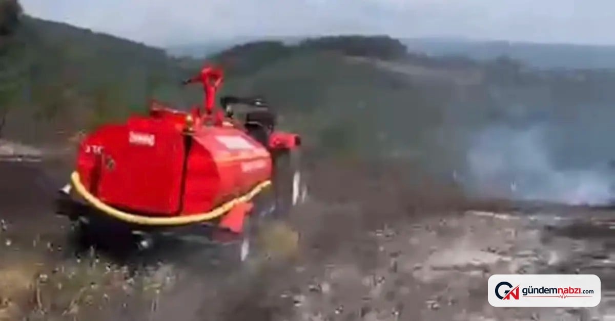 Düzce'de anız yangını ormana sıçramadan söndürüldü