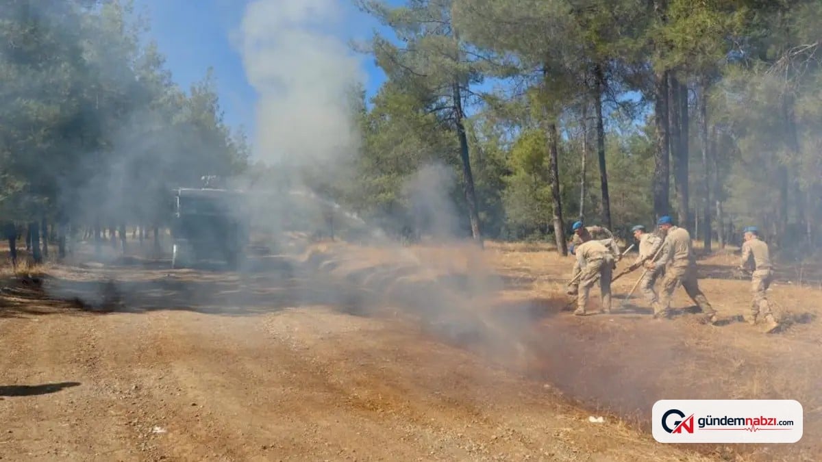 Kilis'te orman yangınlarına karşı devriyeler artırıldı