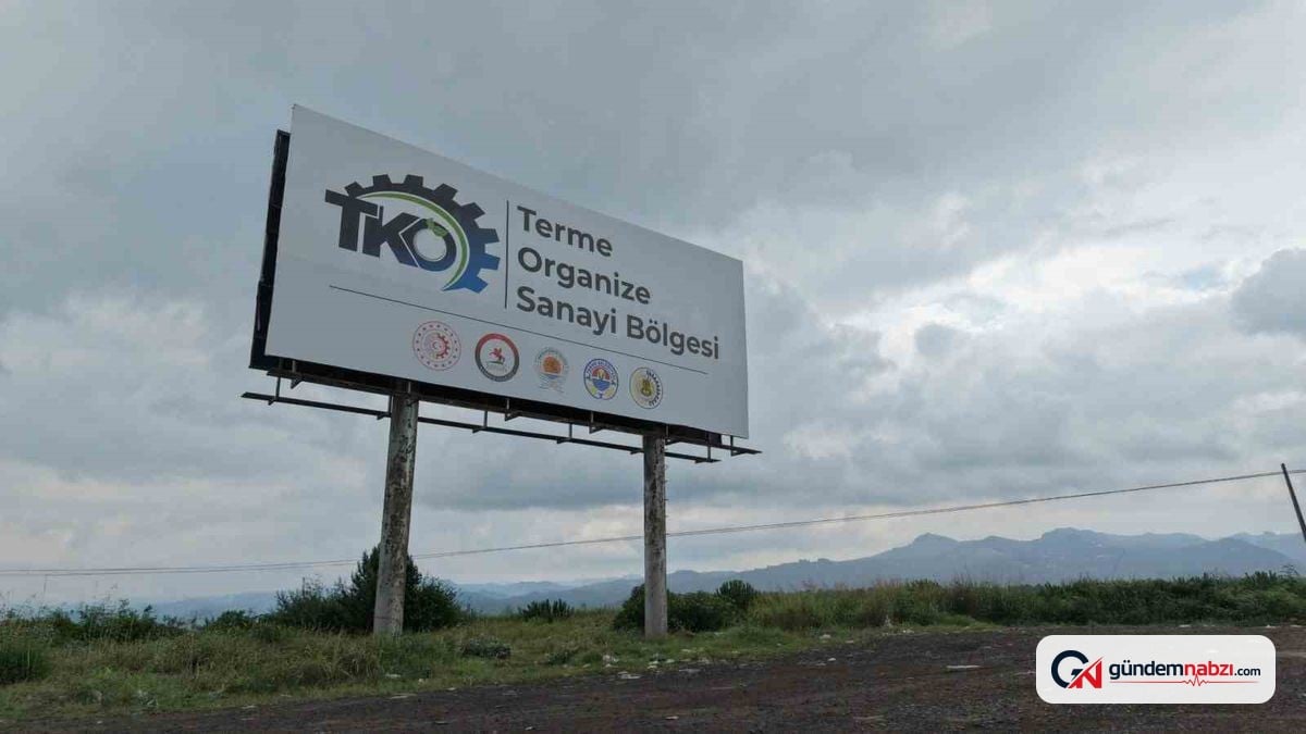Samsun'da Terme Karma OSB altyapı ve yatırım değerlendirmesi yapıldı