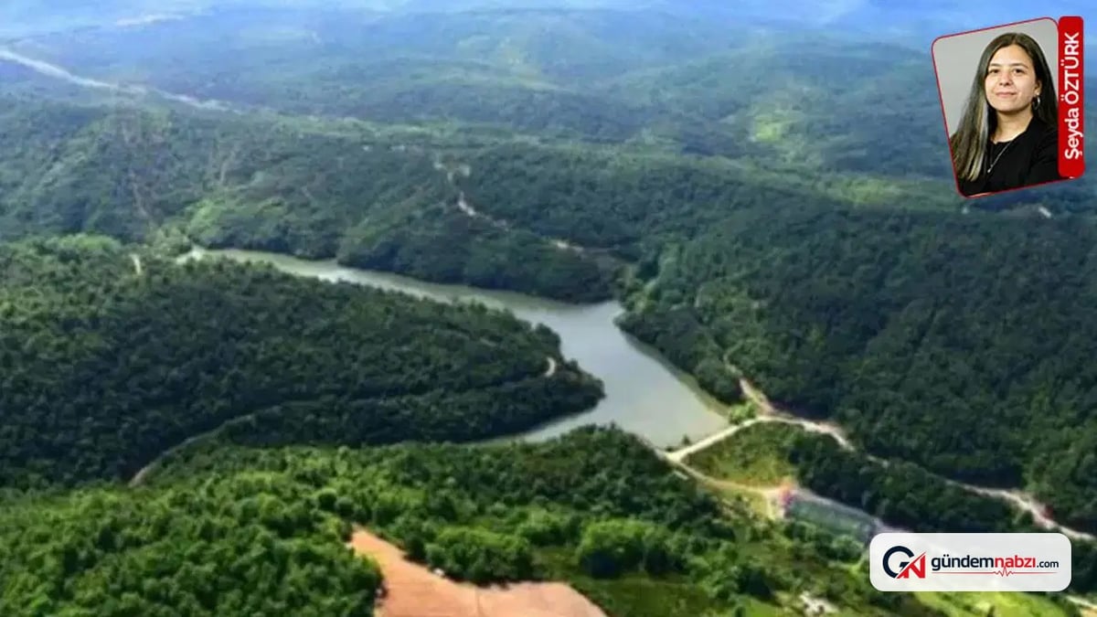 Kuzey ormanları'ndaki demir yolu projesi için bakanlık toplanacak