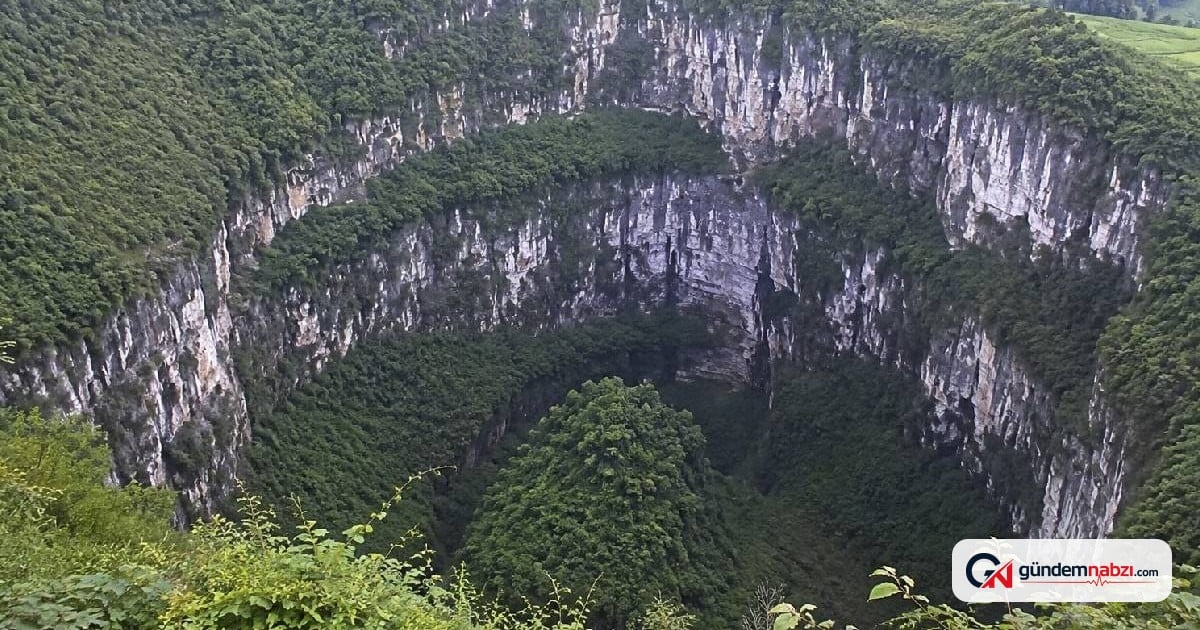 662 metrelik dev çukurun dibinde gizli orman bulundu