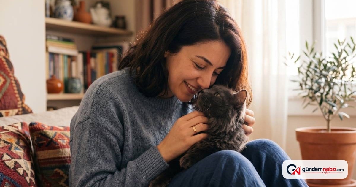 Kedi besleyenlerin ortak kişilik özellikleri açıklandı