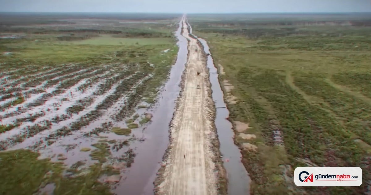 Borneo'daki Mega pirinç projesi felakete yol açtı