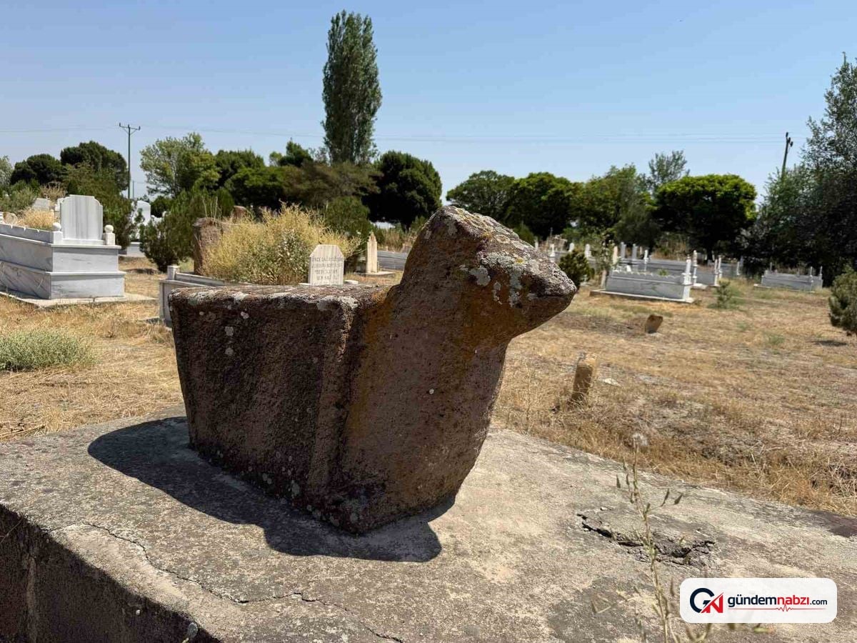 Iğdır'daki koçbaşlı mezar taşları Türk kültür mirasını yansıtıyor