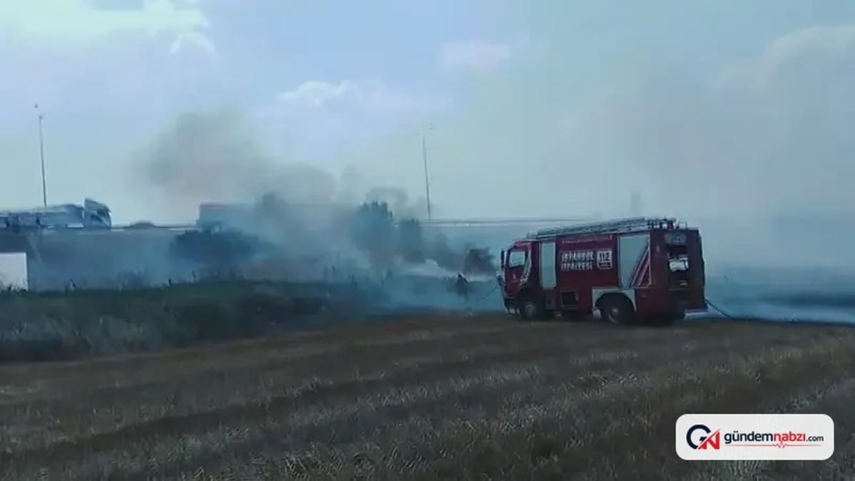 Silivri'de otluk alanda çıkan yangın kontrol altına alındı