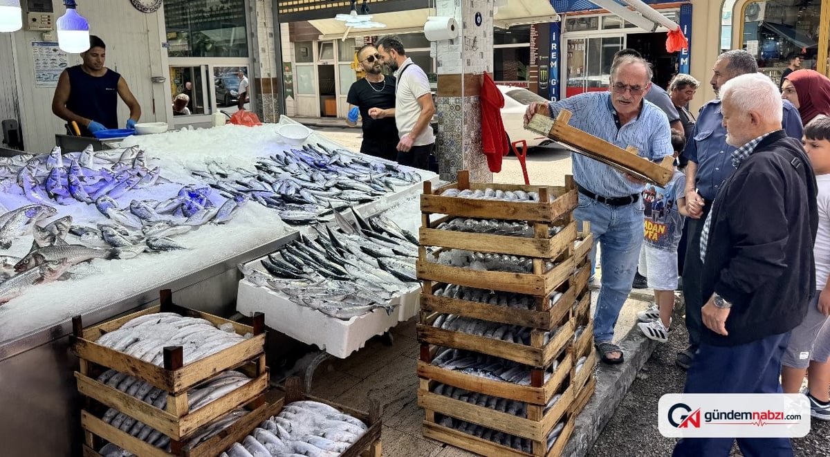 Karadeniz'de palamut bolluğu, tezgahlarda fiyatlar 200-250 lira