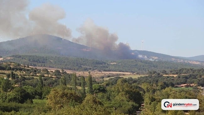 Bayramiç'te orman yangınına havadan ve karadan müdahale sürüyor