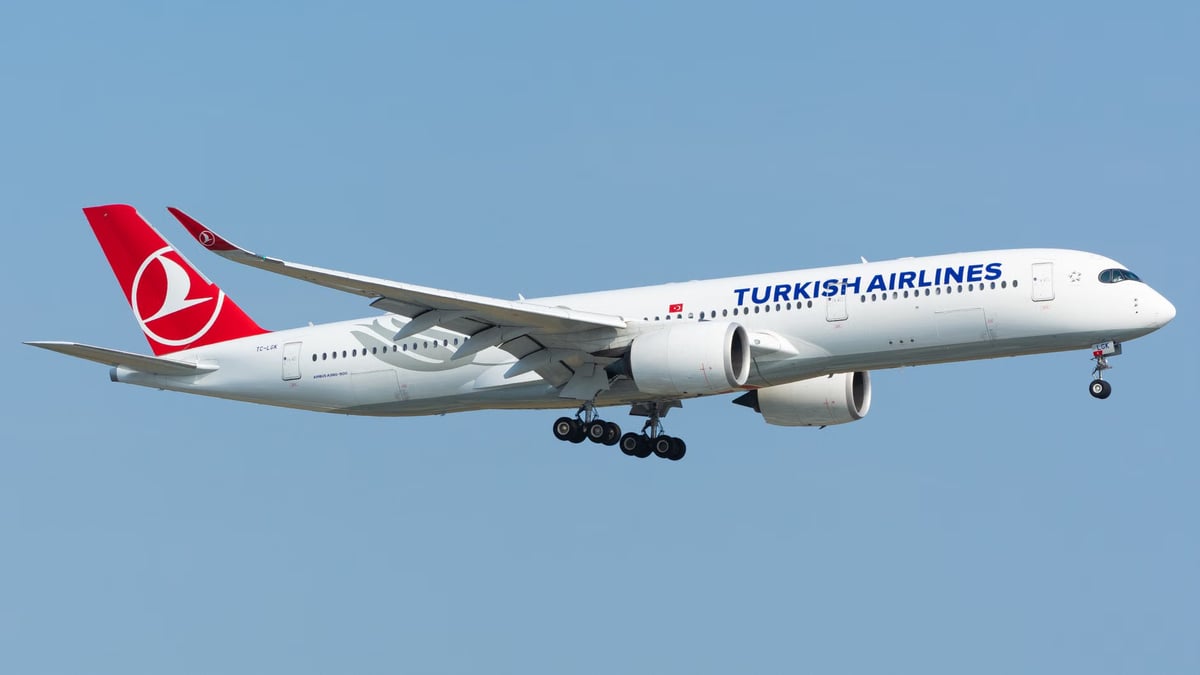 Türk Hava Yolları'nın karı düştü
