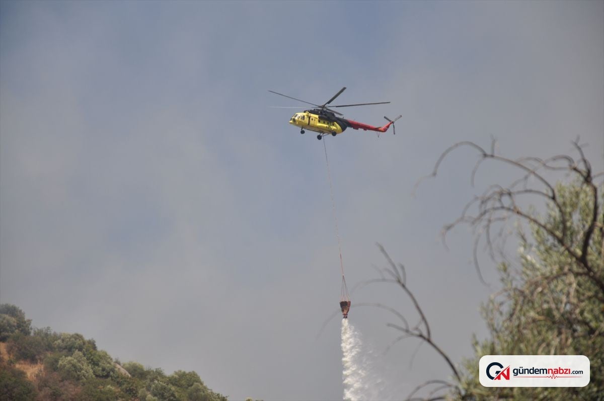 İzmir'de zeytinlik alanda çıkan yangın kontrol altında