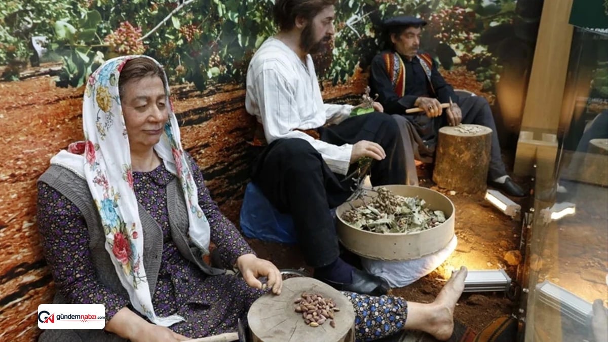 Fıstık Müzesi'ndeki heykellerin mekanik sistemi durduruldu