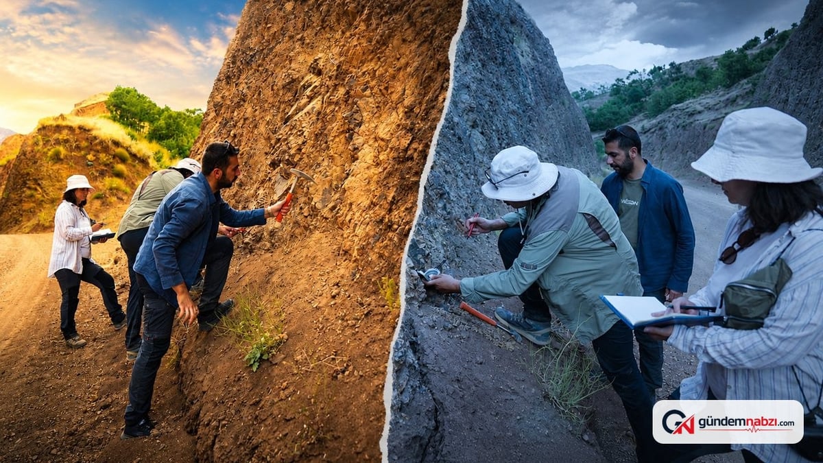 Muş ve Bitlis'teki Kavakbaşı Fay Zonu bilimsel çalışmayla inceleniyor