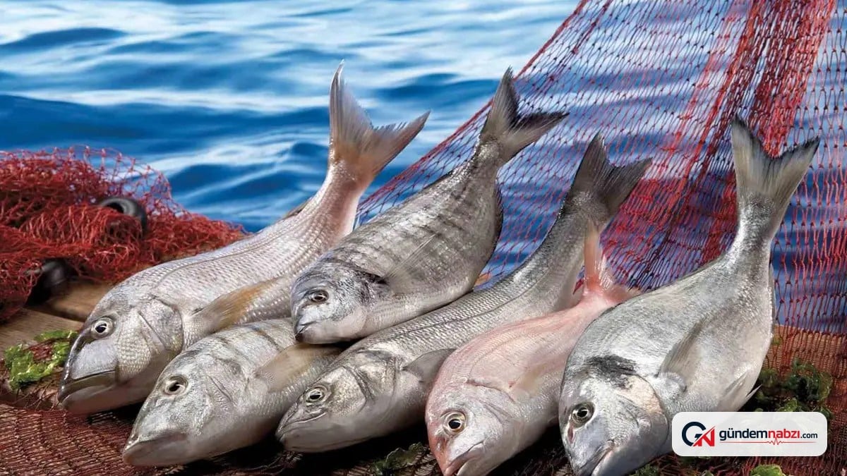 Muğla'nın ihracatı Temmuz ayında yüzde 9 arttı