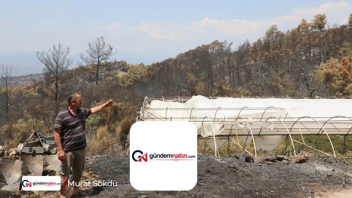 Muğla'da yangının izleri siliniyor: Üreticiye destek