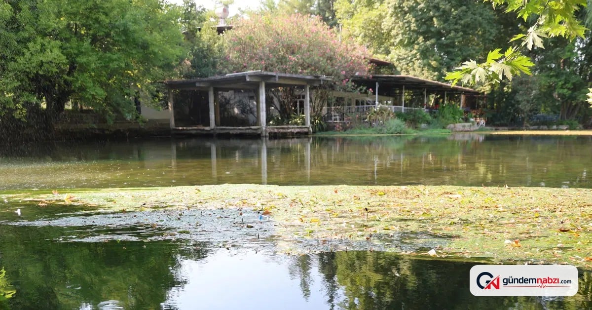 Adana'da Bucak Vadisi yaz sıcaklarından kaçanların gözdesi