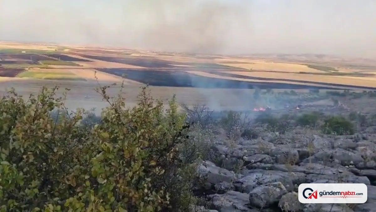 Adıyaman'da anız yangını ormanlık alana sıçradı