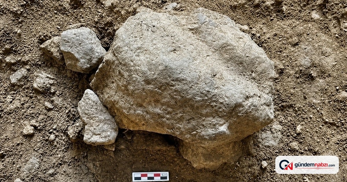 Bilecik'te 14.500 yıllık kaplumbağa heykelcikleri bulundu