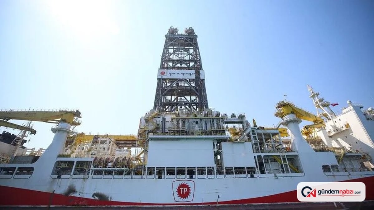 TPAO'nun uluslararası enerji faaliyetleri ve stratejisi