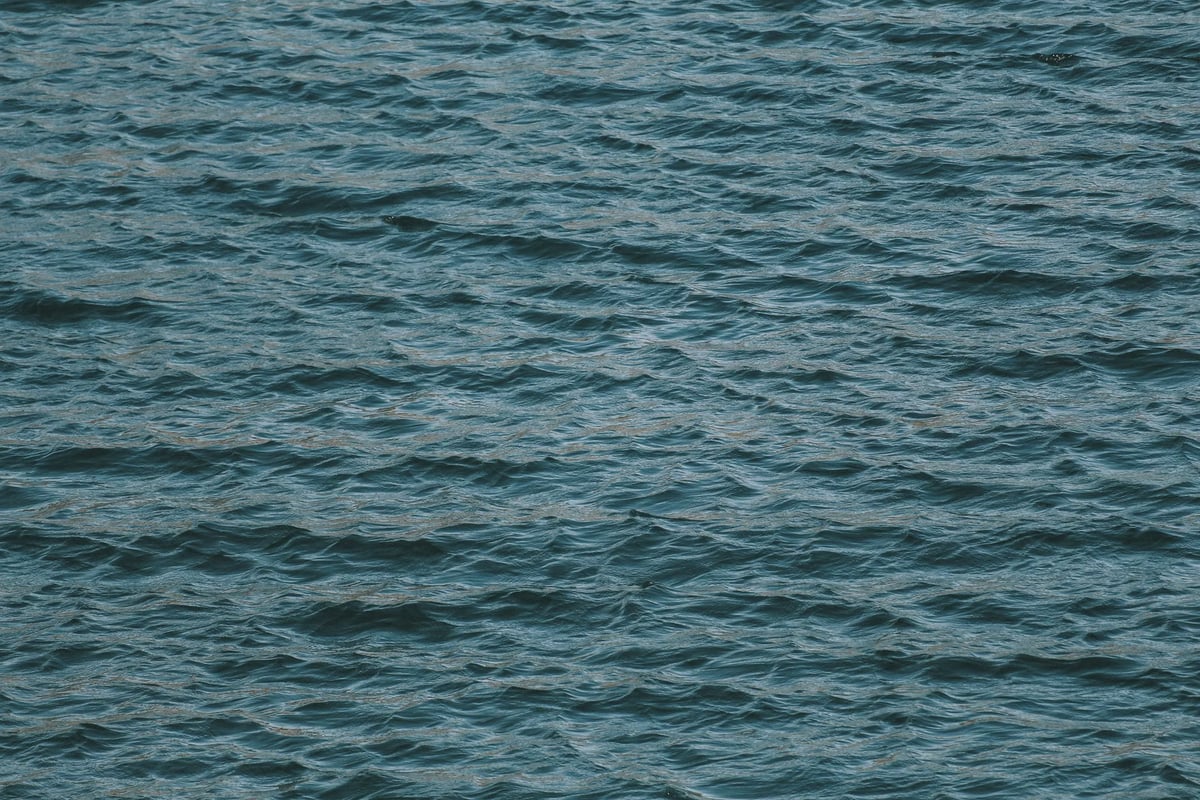 Vibrio vulnificus enfeksiyonu Louisiana'da 5 can aldı