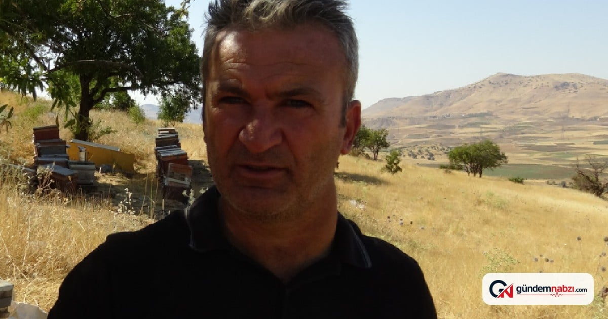 Dağlarda bal hasadı heyecanı: 10 gün kaldı