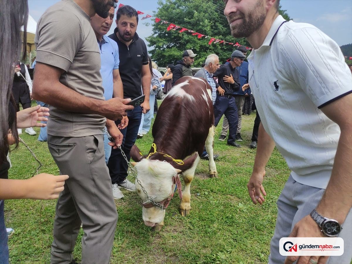 Ardahan'da 2. kültür ve Sanat festivali gerçekleştirildi
