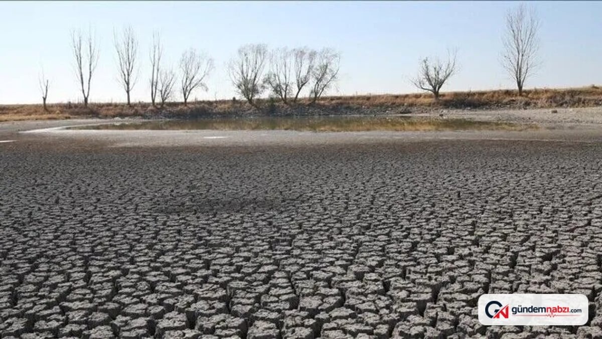 Moğolistan'da sürdürülebilir finansman forumu başladı